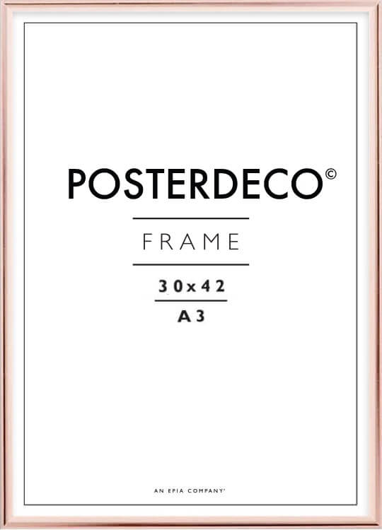 rose-poster-frame-30x40-cm